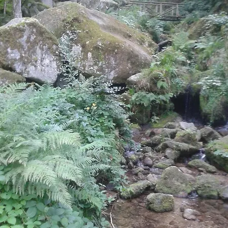 Rita Apartamento Freudenstadt