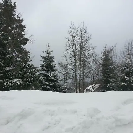 Apartamento Rita Freudenstadt