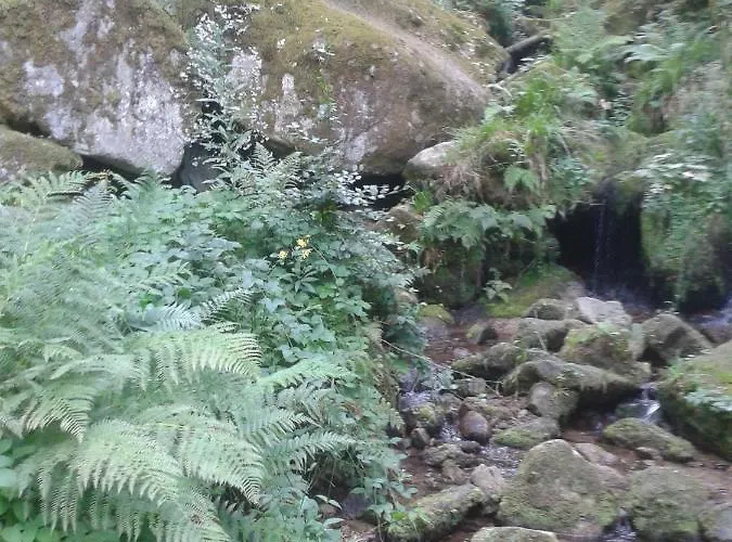 Rita شقة فرودنستاد