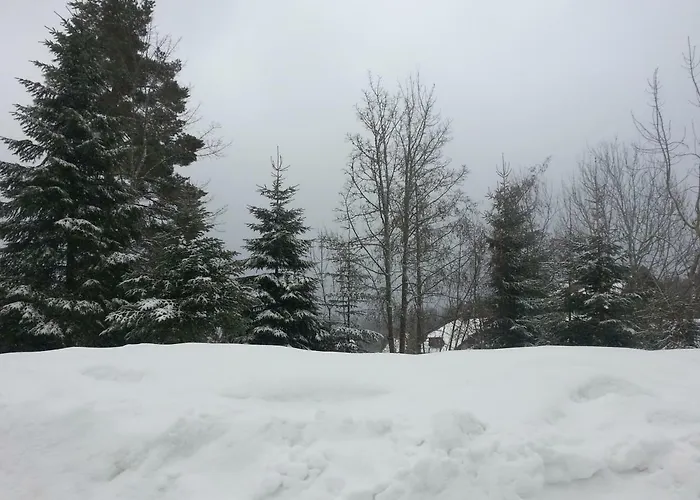 아파트 Rita 프로이덴슈타트