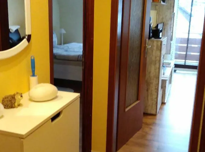 Rita * 프로이덴슈타트